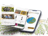 La nouvelle application iDealwine est arrivée (et elle change tout !)