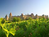 La nouvelle classification des vins du Languedoc confirmée pour 2011