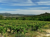 Languedoc-Roussillon : nos nouveaux domaines partenaires
