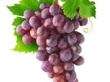 Le chardonnay rose entre dans l’aoc Champagne