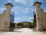 Le Château de Beaucastel à Châteauneuf : un domaine historique