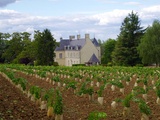 Le château de Villeneuve, domaine historique du Saumurois