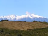 Le domaine Gauby, pionnier des grands vins du Roussillon