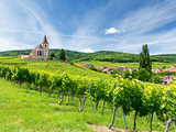 Le guide des grands vins d’Alsace