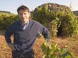 Le Président de Louis Jadot de nouveau à la tête du bivb
