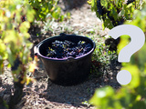 Le vin est-il amené à disparaître