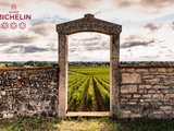 Les grappes du Guide Michelin : une première sélection de domaines bourguignons