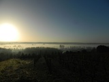 Loire : la précision et la pureté des vins de Bonnigal-Bodet