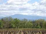 Marc, Clément et les blogueurs : le concours des vins de Châteauneuf-du-Pape