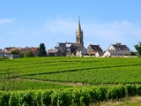 Menetou-Salon : appellation, style de vins, domaines