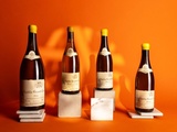 Notre classement des meilleurs vins de Chablis