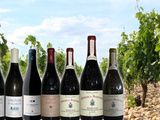 Offre iDéale : Beaucastel, Marcoux, l’Oratoire Saint-Martin, Perrin & Fils en 2009 et 2010
