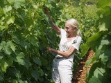 On ne naît pas vigneronne, on le devient