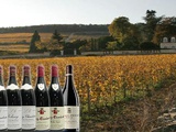 Ouverture de la vente privée Bourgogne : Clos des Lambrays, Mortet, Clair, Boillot, l’excellence du pinot noir