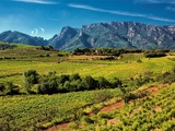 Palmarès Languedoc-Roussillon | Les plus belles enchères du 1er semestre 2022