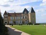 Pas de millésime 2012 pour le Château d’Yquem