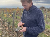 Pierre Ménard : un vigneron talentueux et discret