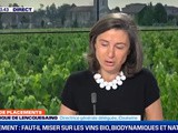 Placement-vin : quelle place pour les vins nature