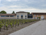 Primeurs 2021 – Partie 2 : les vins des Graves et de Pessac-Léognan