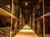 Primeurs 2022 : Les plus grands vins de garde