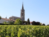 Primeurs 2025 | La rive droite : Saint-Emilion et Pomerol