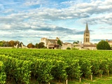 Primeurs 2025 | Les plus grands vins de garde