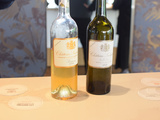 Primeurs 2025 | Sauternes : analyse du millésime et coups de cœur