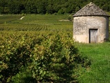 Quand Bouchard Père & Fils créé le Domaine des Cabottes