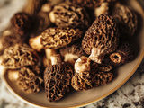 Quel vin boire avec des morilles