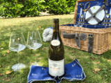 Quels vins pour un pique-nique chic
