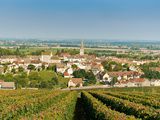 Six bouteilles de vin de Bourgogne vendues chaque seconde