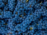 Sulfites | Des vins plus fruités avec une demi-dose