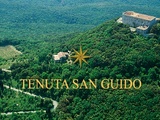 Tenuta San Guido | l’origine du mythe Sassicaia