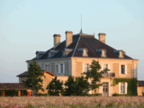 Une immersion exclusive au Château Haut-Bailly