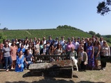 Une journée dans les vignes : l’équipe iDealwine sur les bords de Loire