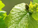 Vente à prix fixe : 4600 lots issus des grands vignobles français et étrangers, elle a tout d’une grande