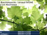 Vente en salle : grands crus au top