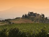 Vignoble italienL’Italie numéro un de la production de vins effervescents