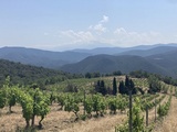 Visites dans les vignes du Roussillon : Le Soula, Olivier Pithon, Mas Amiel, Roc des Anges