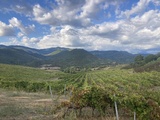 Voyage en Corse : à la (re)découverte de grands vins