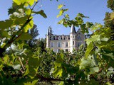Zoom sur le château Haut-Bergey, notre coup de cœur en Pessac-Léognan