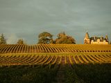 Zoom sur un domaine : le château de Rayne Vigneau, à Sauternes