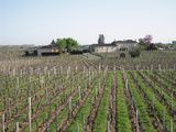 Bordeaux Primeurs 2010, commentaires sur Pomerol et Lalande dePomerol