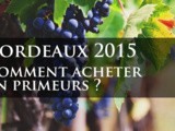 Bordeaux 2015, comment acheter en primeurs
