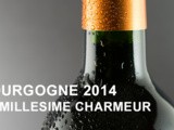 Bourgogne 2014 : le millésime charmeur