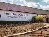 Découverte bourguignonne : les superbes vins du Domaine Michel Magnien