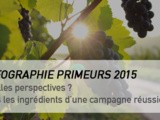 Infographie Bordeaux primeurs 2015 : Quelles perspectives