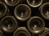 Investir dans le vin avec Cavissima : la patience rémunère votre passion