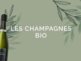 Les Champagnes Bio : Pourquoi un tel engouement