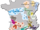 Les meilleurs vins de France et leurs régions